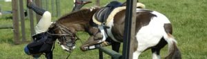 Horse Riding Claims. Solicitors specialising in Accident Compensation