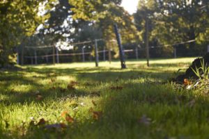 Land Purchase Solicitors. Property lawyers buying land. Photo of meadow. Land Purchase Solicitors. Property lawyers buying land. Photo of meadow.